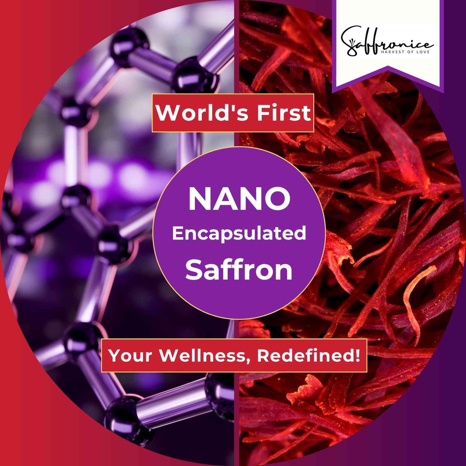 Advanced Saffron Extraction with Nano-Technology