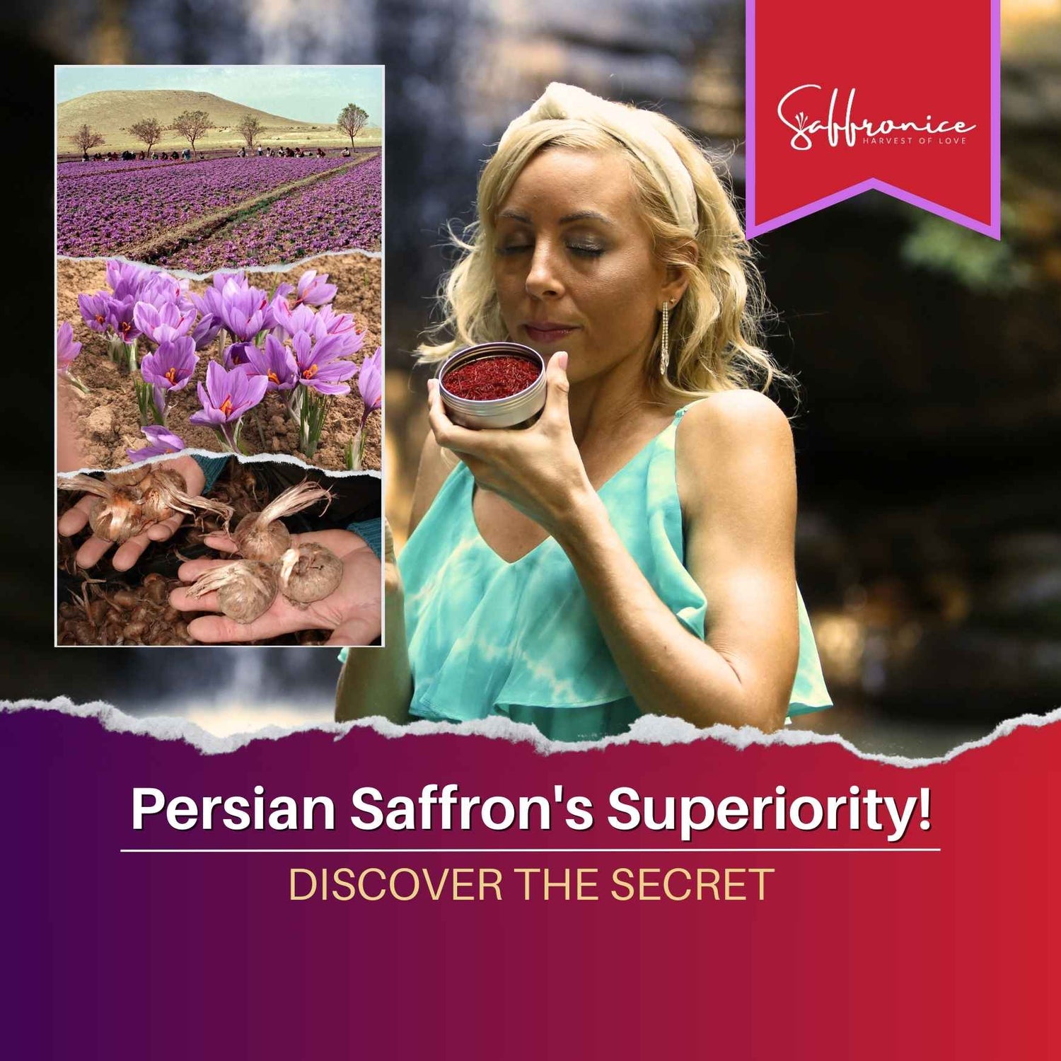 Persian Saffron Discover the Secret