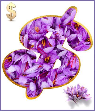 Saffron Price