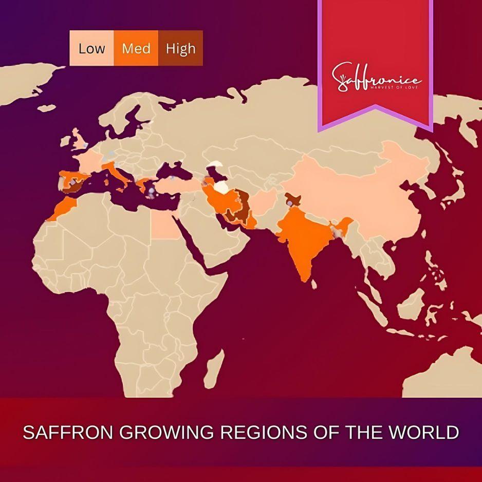 World map highlighting saffron growing regions with low, medium, and high production areas in Europe and Asia