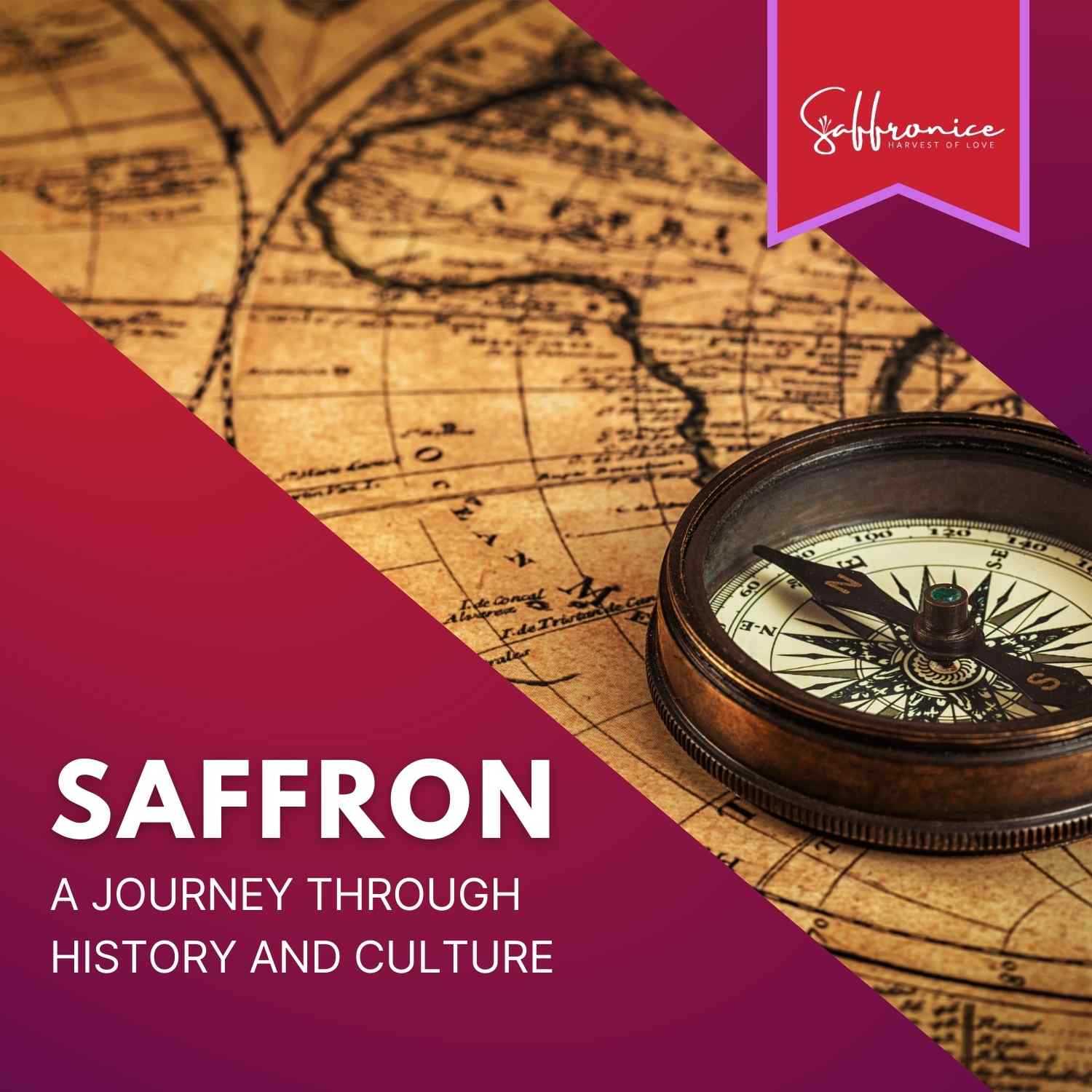 Saffron's journey through history and culture
