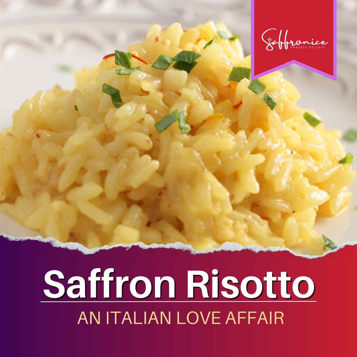 Close-up of creamy saffron risotto garnished with fresh herbs on a white plate