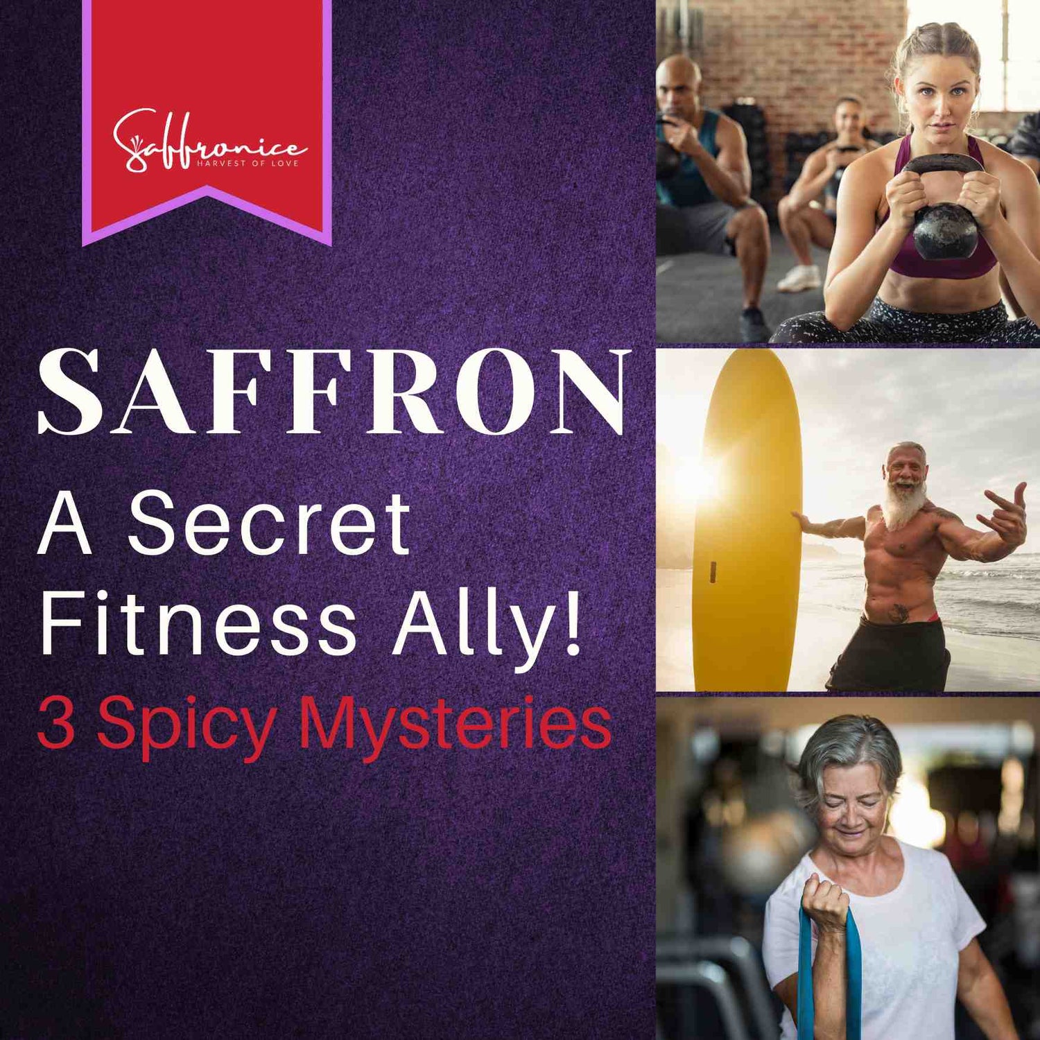 Secrets of saffron in fitness
