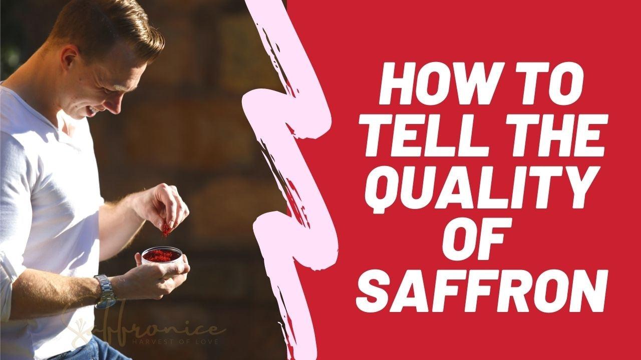 Man inspecting saffron strands in container with text how to tell the quality of saffron on red background