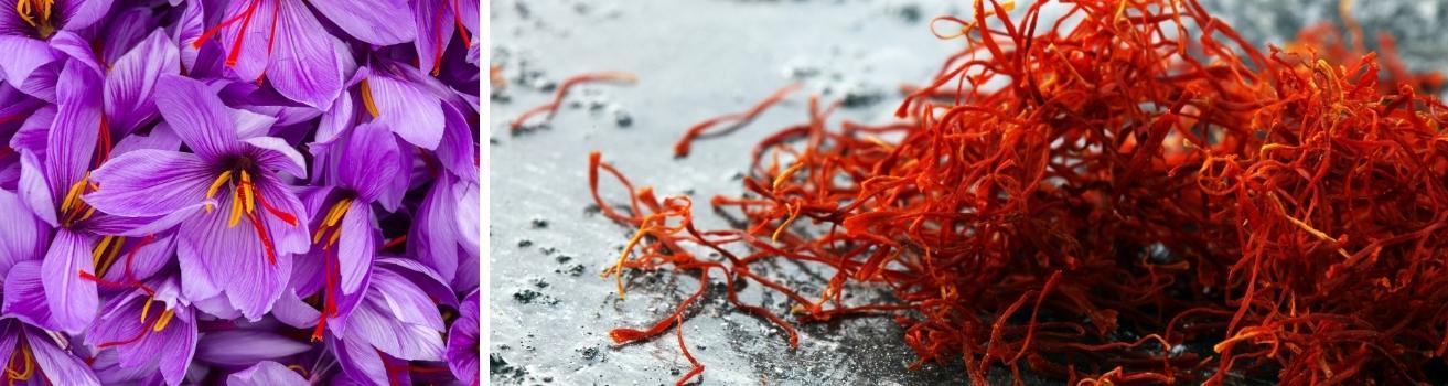 saffron threads and flowers