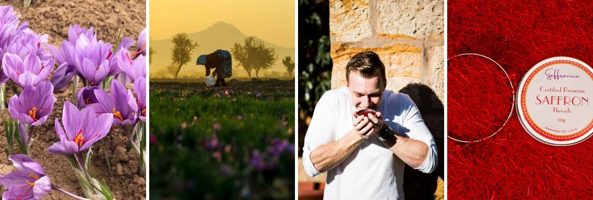 Collage of four images: purple flowers, a person in a field, a man eating, and a red box with a label.