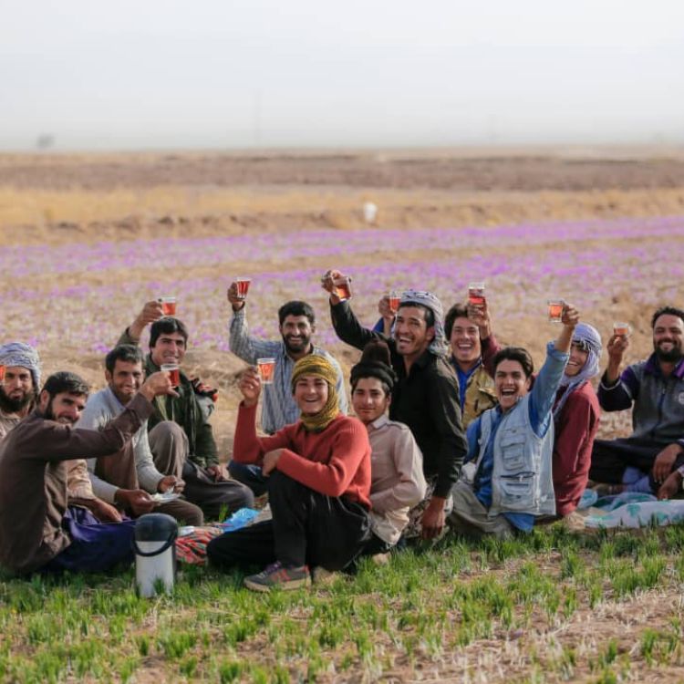 Saffron Farmers