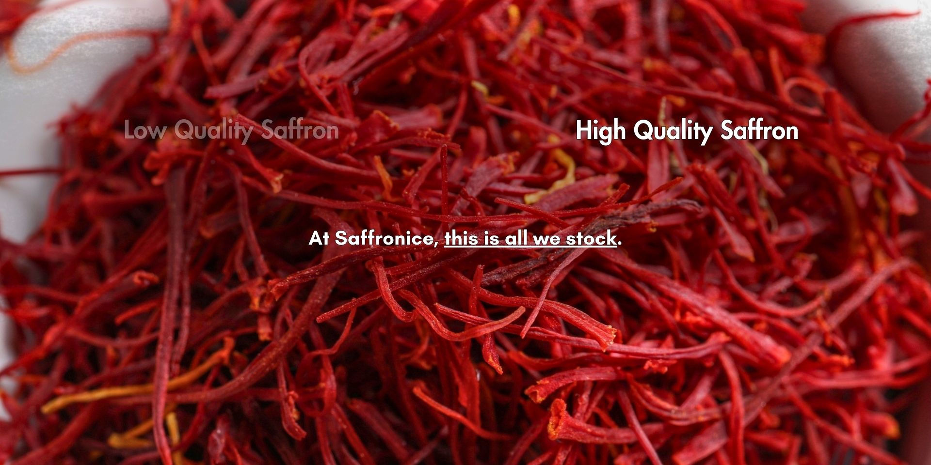 10 Gram Saffron Threads – Saffronice